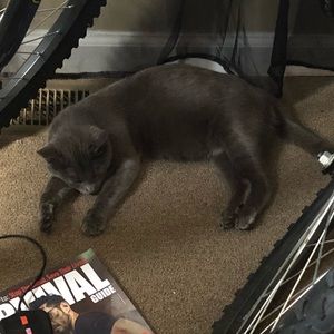 Meet your Posher, Nick